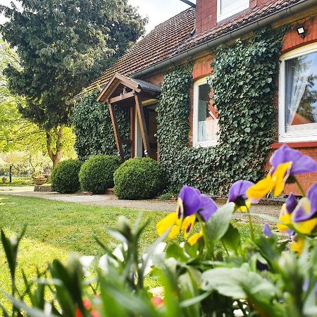 Am Alten Haus Altenmedingen Eksteriør bilde