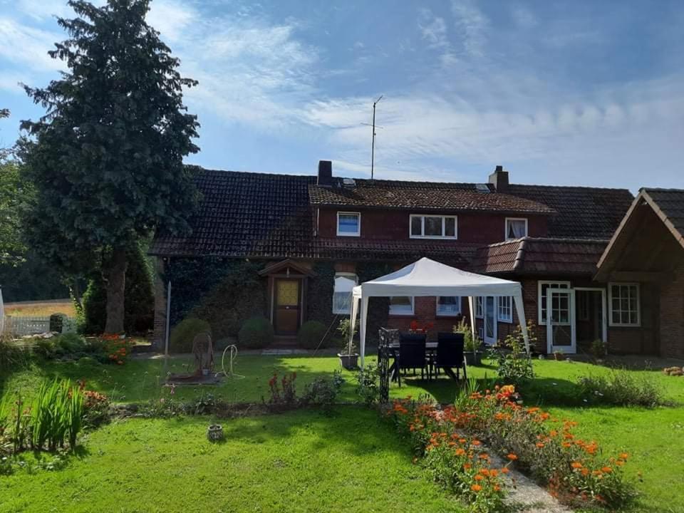 Am Alten Haus Altenmedingen Eksteriør bilde